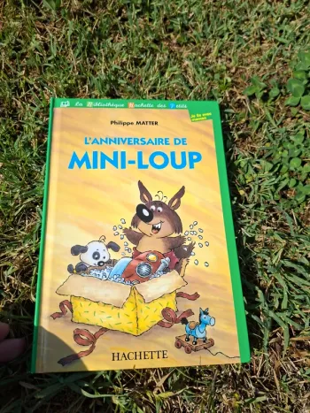 Livre l anniversaire de mini loup