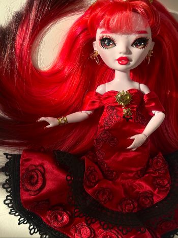 Rosy shadow High Rainbow High custom