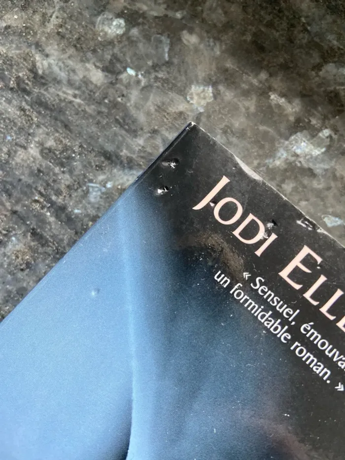 Livre romance « une nuit : la promesse » - photo numéro 4