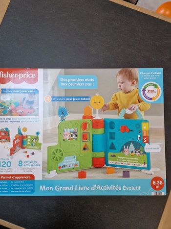 Mon grand livre d activités evolutif