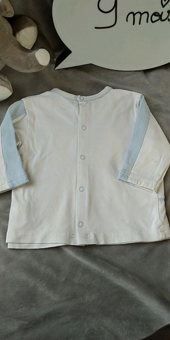 Tee shirt manches longues doublé Garçon 9 mois Sucre d'orge "Le petit safari" 100% coton - photo numéro 10