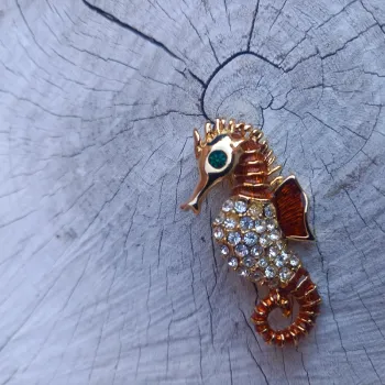 Broche vintage hypocampe