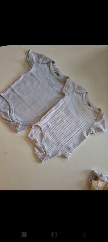 Bodys manches courtes