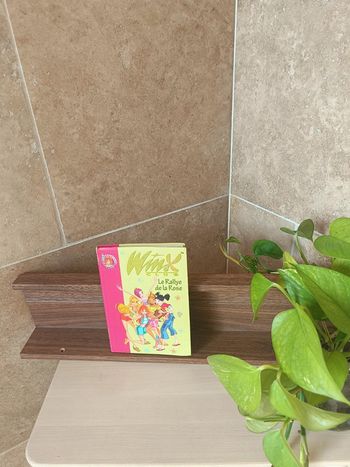 Livre Winx enfant