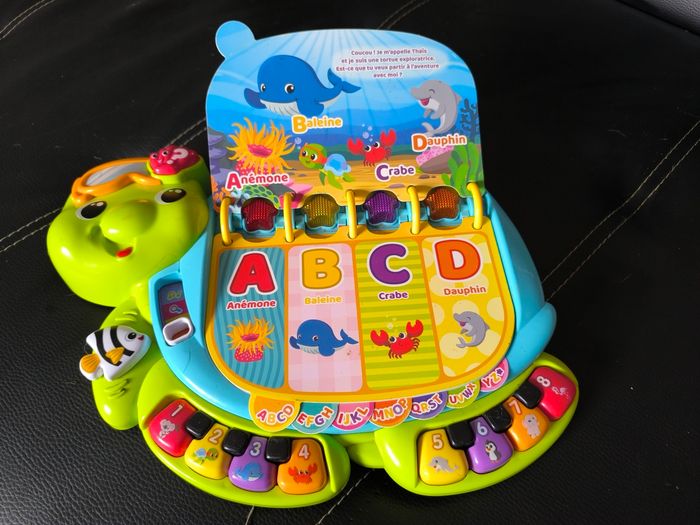 Thaïs la tortue exploratrice - photo numéro 2