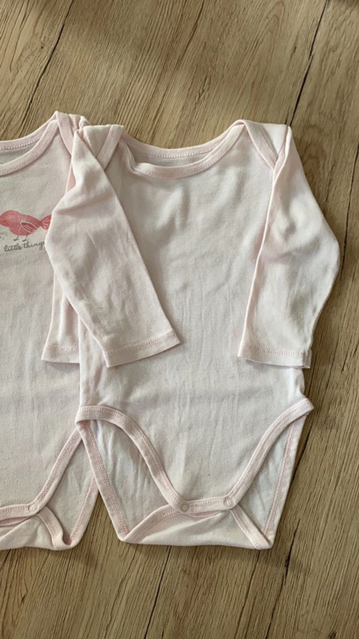 Lot de 2 bodies, 9 mois - photo numéro 3