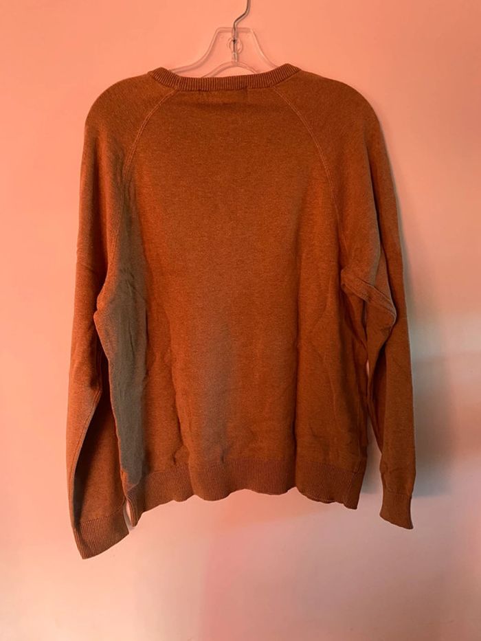 Pull camel - photo numéro 4