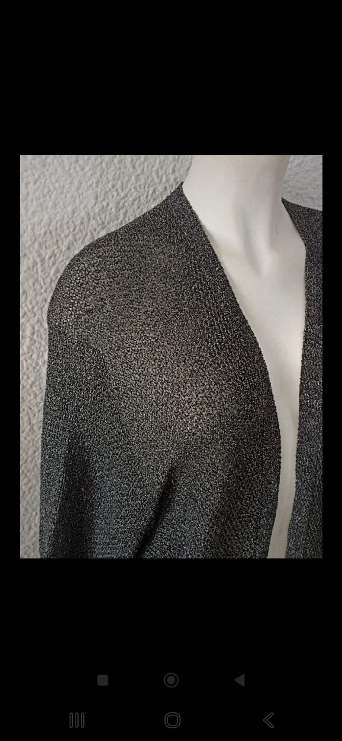 Belle Veste en lainage fin - photo numéro 4