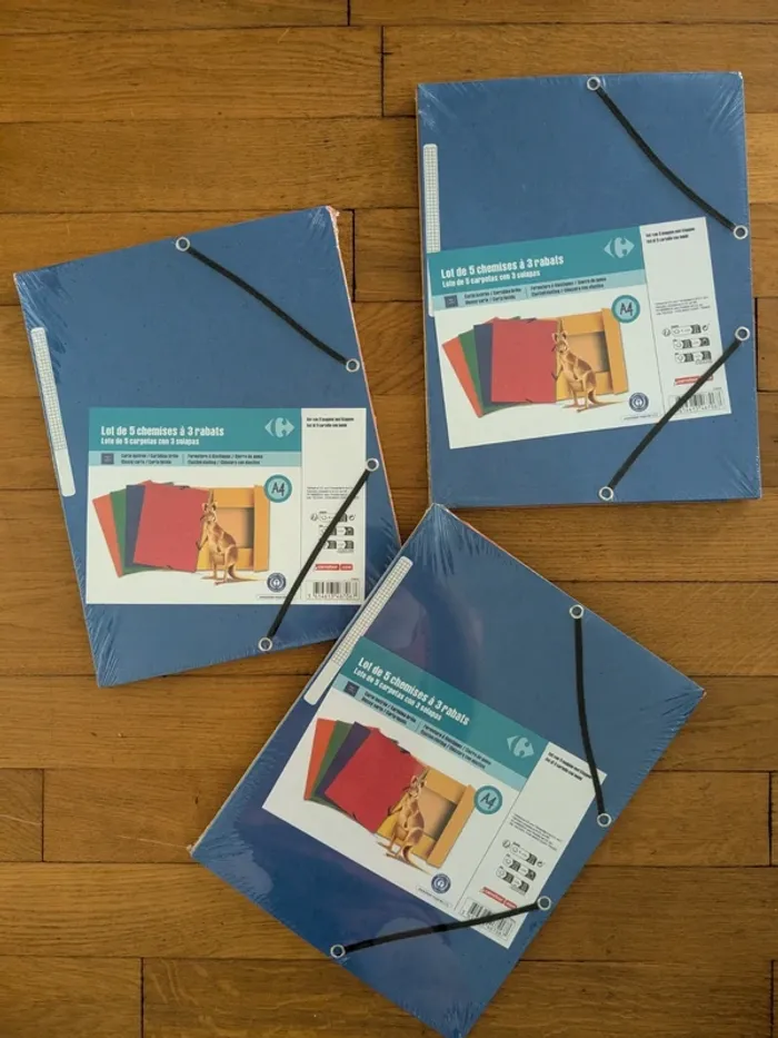 1 (ou ou plusieurs) lot de 5 chemises 3 rabats