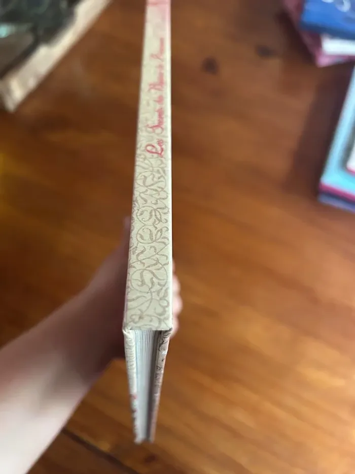 Lot de livres princesses - photo numéro 4