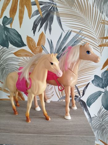 Chevaux barbie