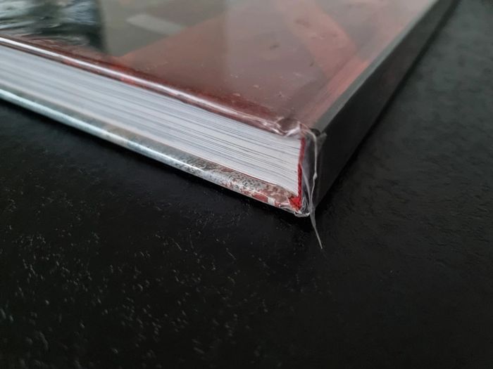 Le temps perdu des Haciendas - photo numéro 6