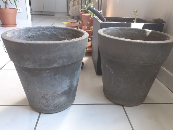 2 pots de fleur en ciment
