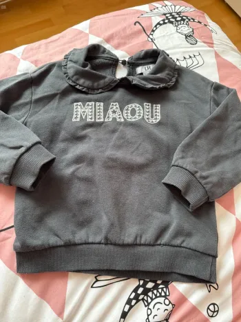 Pull miaou