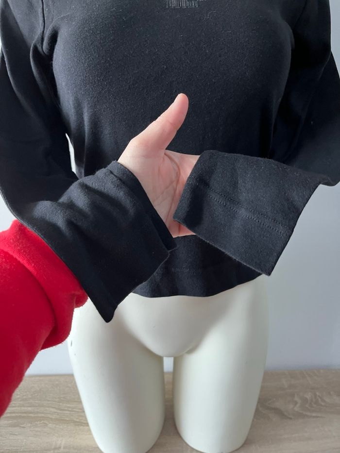 Haut diplodocus - photo numéro 8