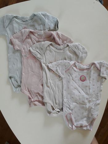 Lot bodies absorba 1 an