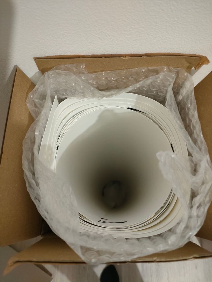 Papier peint Lion - photo numéro 4