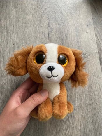 Peluche TY / doudou chien cavalier King Charles 