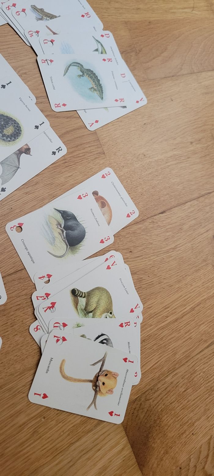 Jeu de 52 cartes animaux - photo numéro 6
