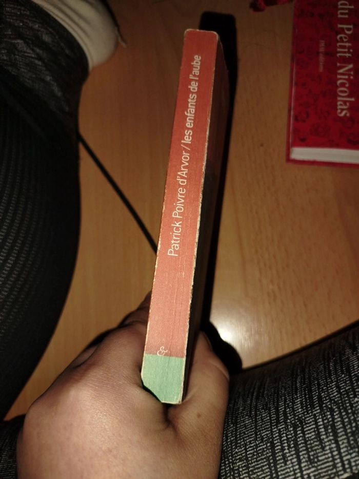 Roman nouvelle - photo numéro 2