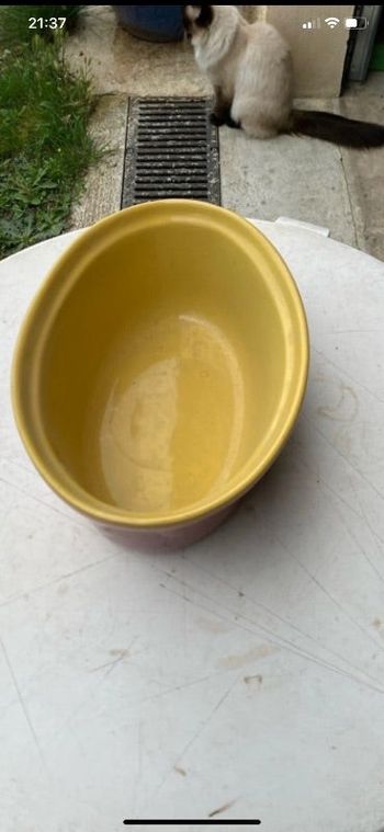 Plat ovale