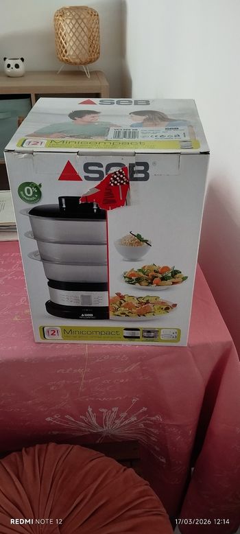 Mini Cuiseur vapeur 