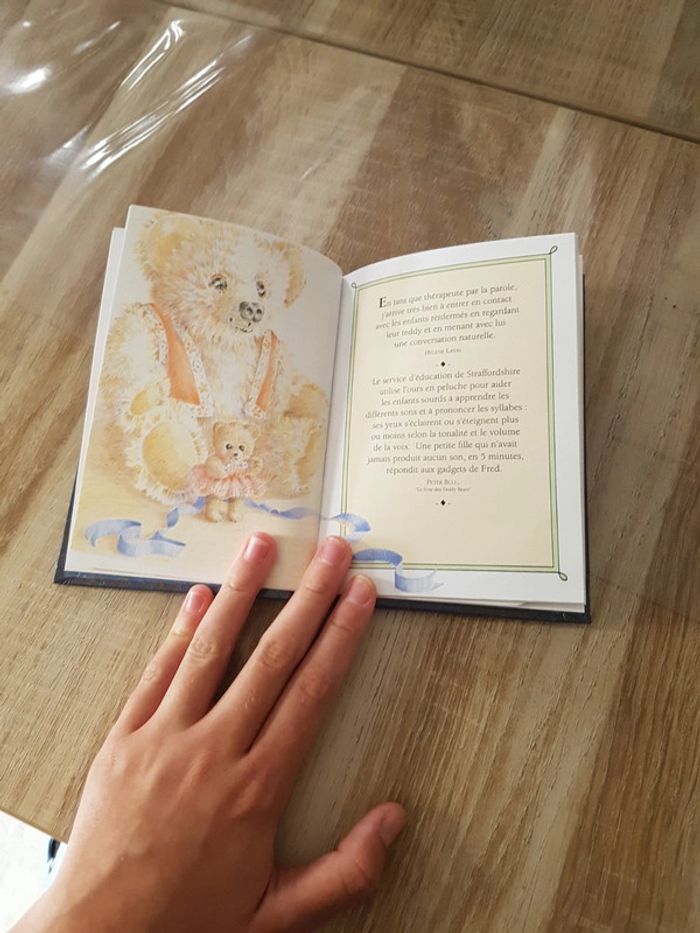 Livre les Nounours - photo numéro 3