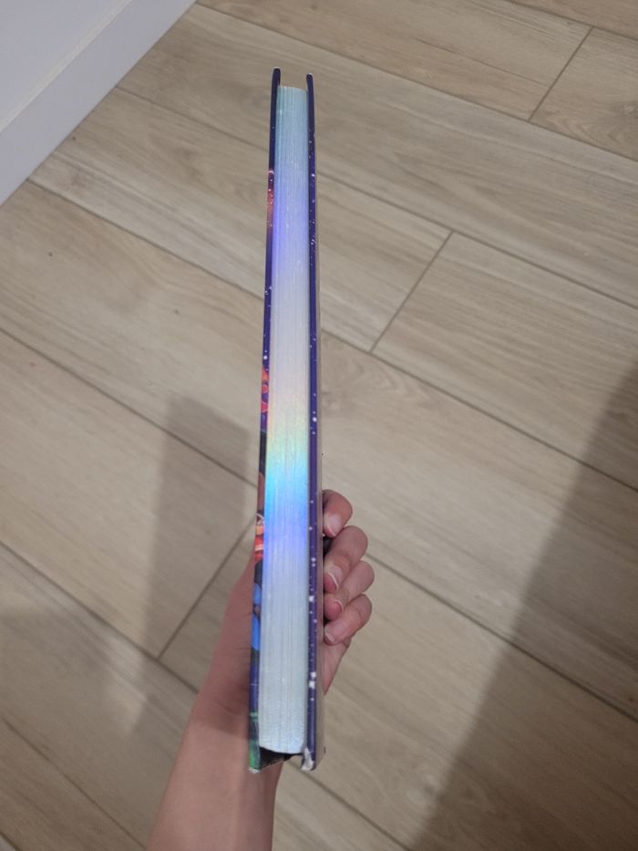 Grand livre Mortelle Adèle - photo numéro 3