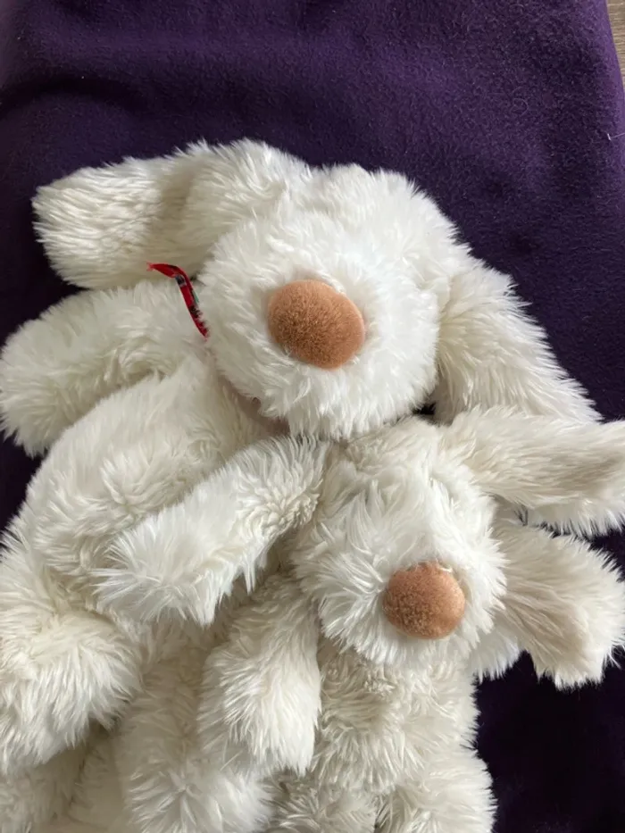 Peluches chien blanc