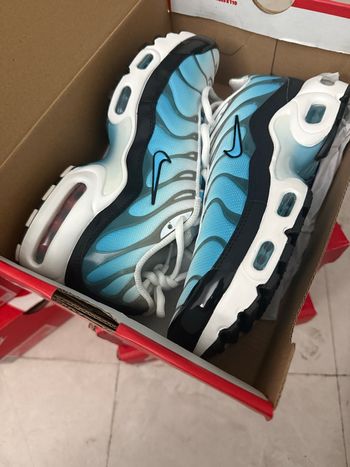 Nike air Max plus