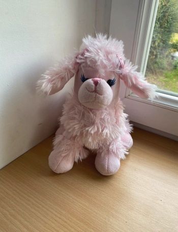 Petite Peluche caniche