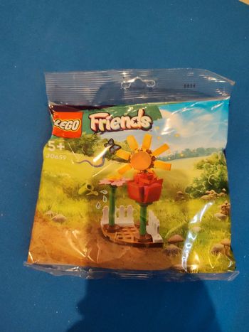 Lego friends 30659