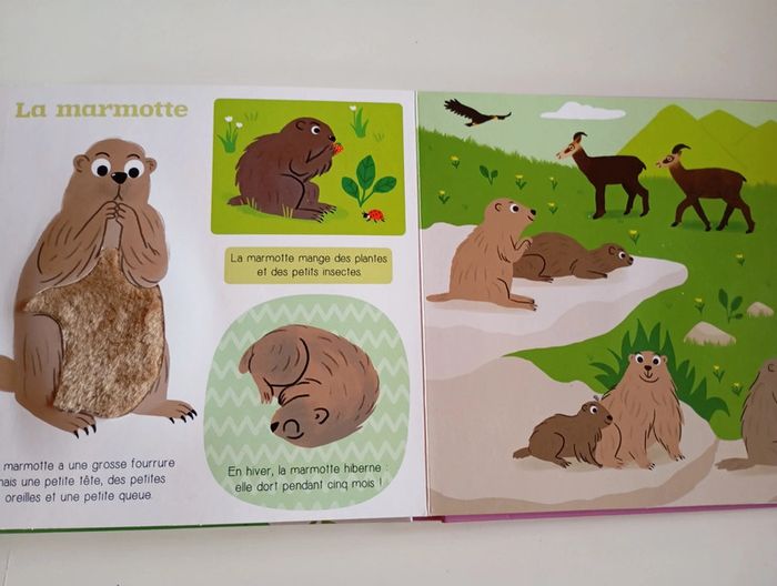 Les p'tits tout doux : les animaux de la montagne - photo numéro 7