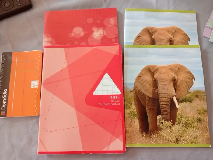 Gros lot de fournitures scolaires - photo numéro 3