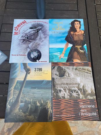 Lot de livres histoires,antiquités, préhistoire