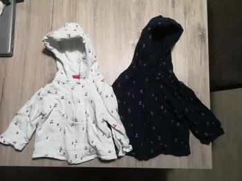 Lot 2 pulls a capuche