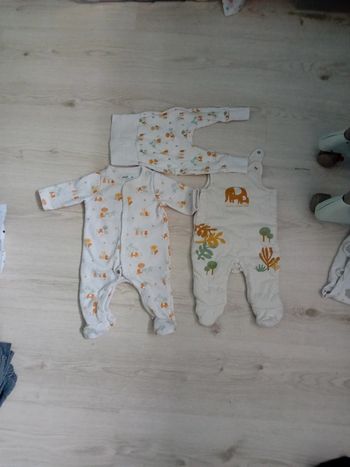 Ensemble jungle