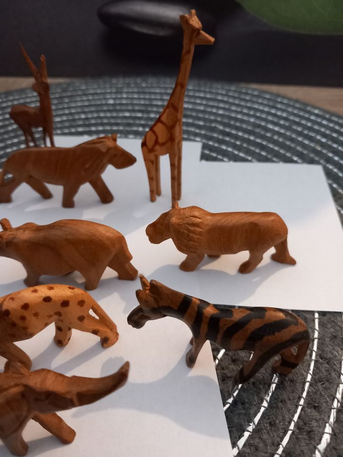 Animaux de la savane   les 10 animaux
2cm de haut sur 5  environ - photo numéro 3