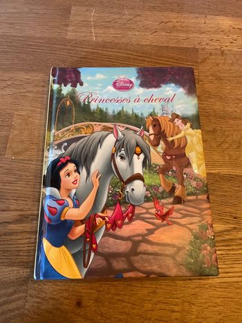 Livre Édition France Loisirs Princesse à cheval