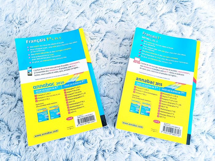 Annales 2015 et 2016-Annabac Français 1ere 🖤 - photo numéro 2