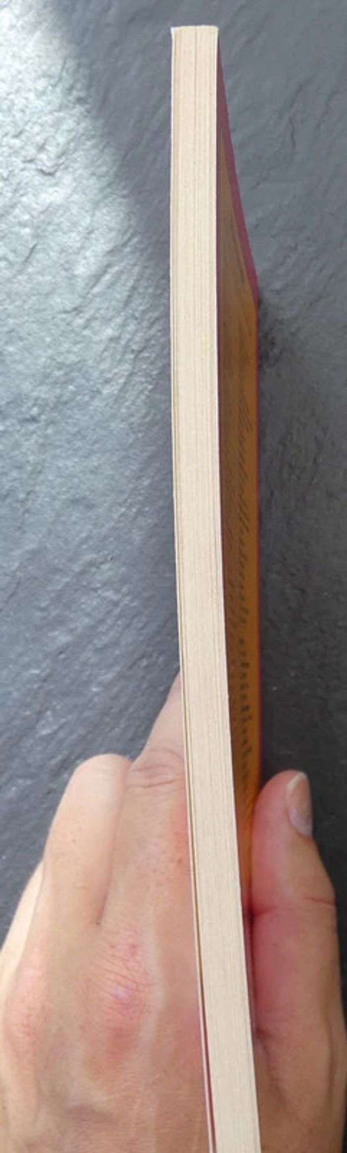 Livre : Profil d'une oeuvre "la Chute" de Camus neuf - photo numéro 2