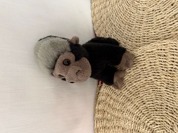 doudou Gorille dos argenté, singe primate doudi