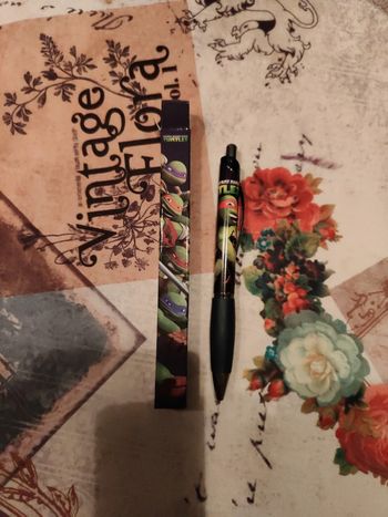 Stylo tortue ninja