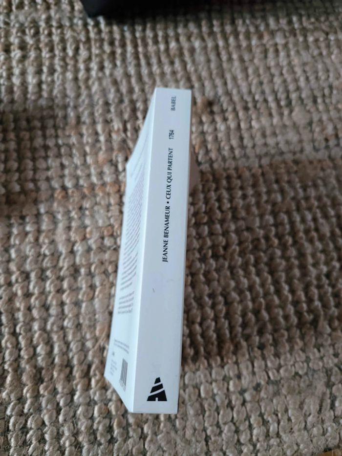 Jeanne Benameur ceux qui partent - photo numéro 2