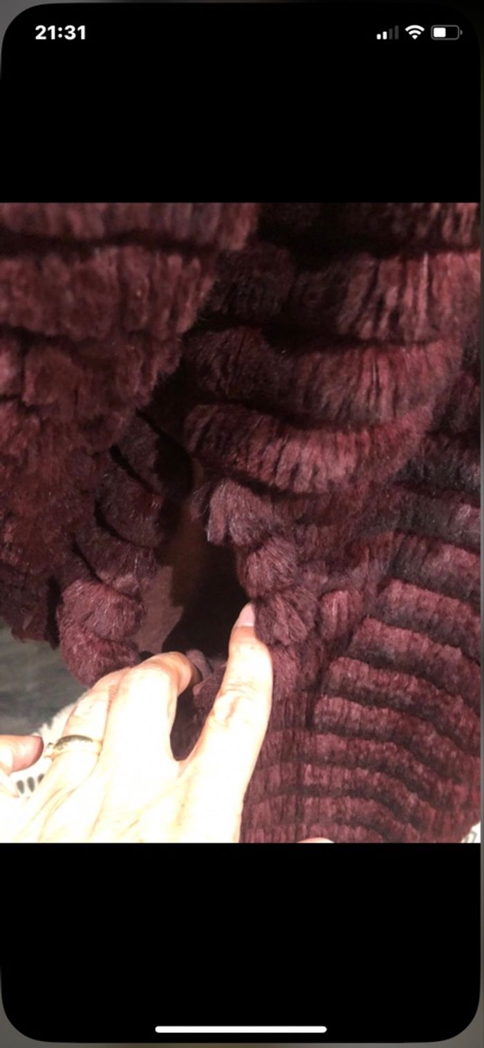 Manteaux - photo numéro 12