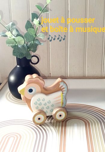 Djeco Poule à pousser  Boîte à musique Baby Sing