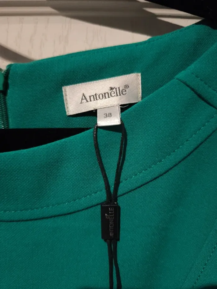 Robe verte - photo numéro 3