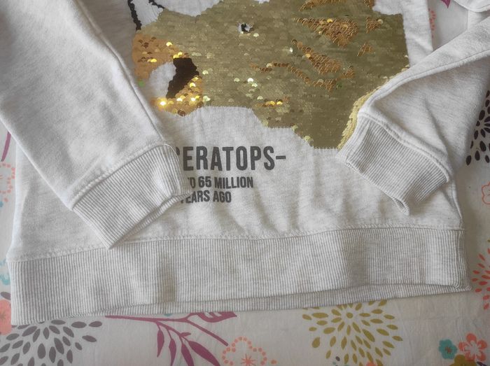 Sweat dinausore garçon à sequins magiques 10 ans h&m - photo numéro 5