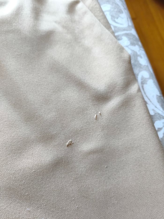 Vend pantalon - photo numéro 2