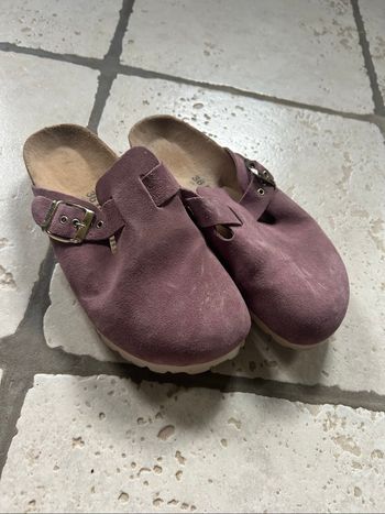 Mules Bayton